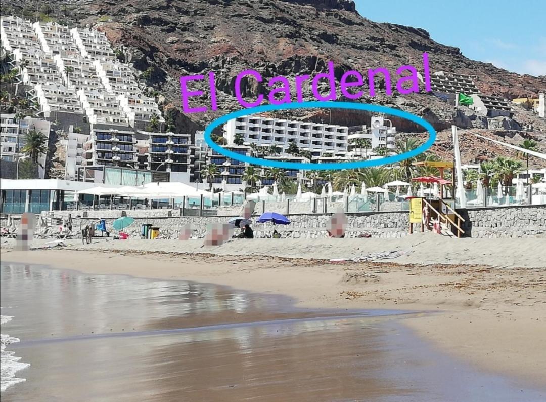 Apartamento El Cardenal Mick & Rosa Playa Del Cura  Exterior foto